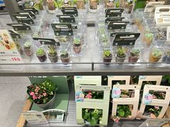 -鹿岛生活(熙地港店)