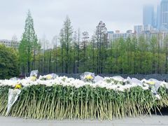 -侵华日军南京大屠杀遇难同胞纪念馆-停车场