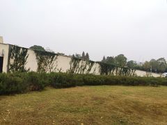 -洋湖国家湿地公园