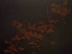 -澜·庭汇SPA会所(涉外店)