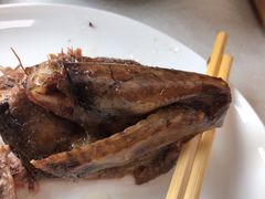 -食家鸽园