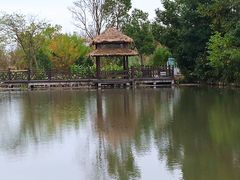 -溱湖国家湿地公园