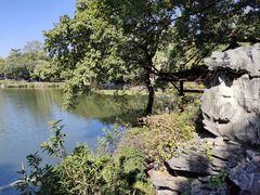 -荔湾湖公园