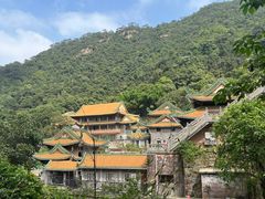 -南海湾森林生态园