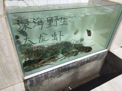-海盗餐厅
