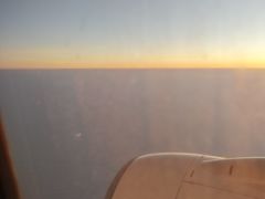 -大湾区中央湿地公园