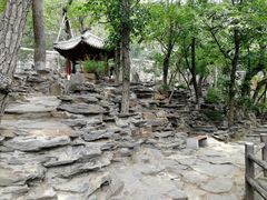 -大觉寺-停车场