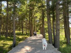 -塞罕坝国家级自然保护区