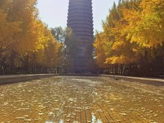 -玲珑塔公园