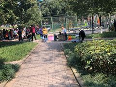 -重庆彩云湖湿地公园