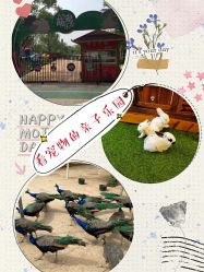 -萌宠亲子动物乐园(槐房万达店)