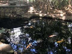 -卡塞拉自然公园