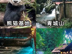 -王婆婆老妈蹄花川菜馆·非物质文化遗产(太古里一店)