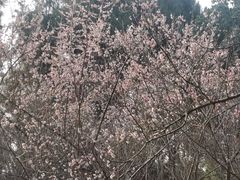 -富乐山
