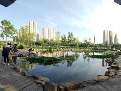-前关湿地公园