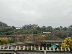 -福道