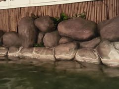 -汤泉良子·沐足·颂钵疗愈·SPA(珠江新城店)