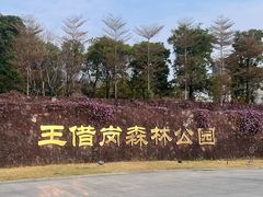 -王借岗森林公园
