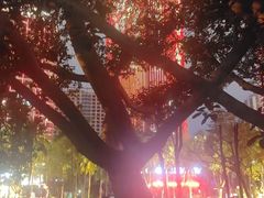 -万绿园