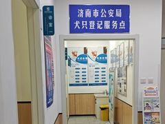 -瑞派雷欧宠物医院·24h夜诊·心脏骨科牙科·全科重症转诊中心(无影山店)