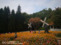 景点-晓港公园