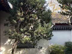 -秋霞圃