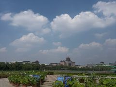 -莲花池公园