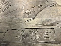 -白鹤梁水下博物馆