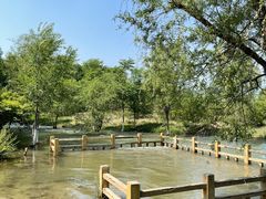 -永定河休闲森林公园