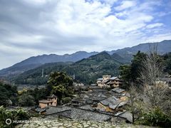 -杨家堂村