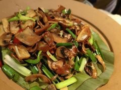 爆炒赤松茸黑牛肝菌-云海肴·汽锅鸡·云南菜(苏州中心店)