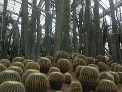 -南山植物园