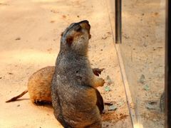 -昆明青龙峡风景区