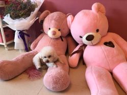 -Pink You美甲美睫纹绣定制中心