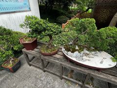 -陈家山荷花公园