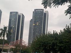 -深圳野生动物园