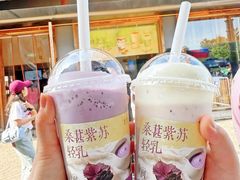 -长春堂顺时而饮(前门店)