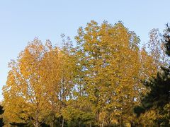 -长春公园(普阳街道)