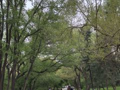 -北陵公园
