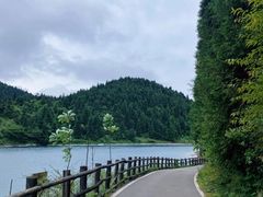 -武陵山森林公园