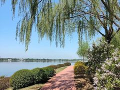 -丁香湖公园