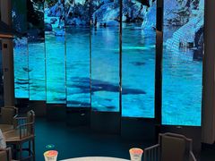 -桂满陇·海市蜃楼·黑金(国金店)