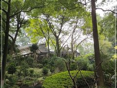 -南山植物园