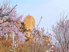 -北京凤凰岭
