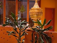 -美泰·Mangothai·清迈云街(天空之城店)