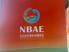 -宁波国际会展中心