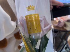 -谷莠子花艺气球派对·绿植造景·花艺沙龙(东海缤纷天地店)