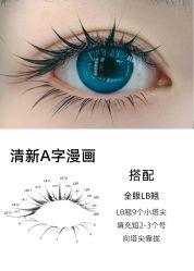 -丽尔美睫