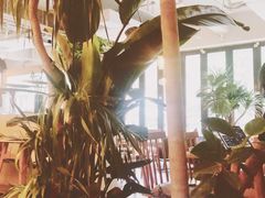 -the rug 飞毯 (朝阳公园店)