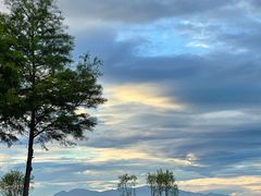 -洱海月湿地公园